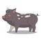 serious black boar pig in cartoon style for kids