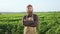 Serious, busy farmer with beard growing plants, sunflowers in countryside.