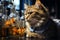 serious cat-scientist in laboratory with test tubes and books