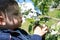 Serious child sniffs apple tree flowers