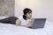 Serious and daydreaming asian beautiful girl work the laptop in the bed. Work from home concept