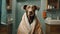 A Serious dog in a bathrobe takes pride in maintaining