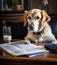 Serious dog writer, dog journalist, dog secretary, dog with book and feather
