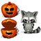 Serious evil raccoon and Halloween scary pumpkin face. Vector illustration in cartoon style on a white
