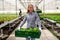 Serious farmer woman holds a crate with salad