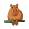 A serious funny capybara is resting, leaning on a log on a white background. A flat illustration. Isolated illustration.
