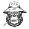 Serious gorilla in monochrome style