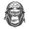 Serious gorilla in monochrome style