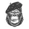 Serious gorilla in monochrome style