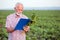 Serious gray haired agronomist or farmer examining young sugar beet plant, filling out a questionnaire