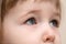 Serious grey eyes of white three years old child face