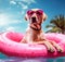 Serious stylish rhodesian ridgeback dog in sunglasses resting on pink rubber ring in a swimming pool by the sea in summer holiday