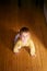 Serious toddler crawls on the wooden floor in the room. View from above