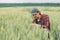 Serious wheat farmer agronomist inspecting cereal crops quality in cultivated agricultural plantation field