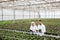 Serious workers in garden looking and touching plants