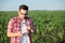 Serious young agronomist or farmer analyzing soil samples on a corn farm