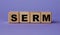 SERM - acronym on wooden cubes on a lilac background