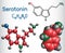 Serotonin molecule, is a monoamine neurotransmitter. Structural