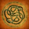 Serpent Celtic Knot