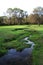 Serpentine creek through a green pasture