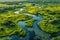 Serpentine Sanctuaries: A Whimsical Aerial Panorama