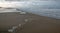 Serpentine shaped seafoam from Pacific ocean waves washing over the beach and flowing into a marsh in Ventura California USA