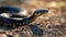 Serpentine snake slithers gracefully on the ground, its sinuous movements mesmerizing, Ai Generated