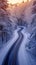 Serpentine snowy road weaves through the enchanting winter forest landscape