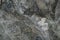 Serpentinite with Chrysotile asbestos ore texture. Contains serpentine, Chrysotile asbestos, Magnetite, Lysarditis