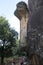 Serpents Head Rock Sigiriya