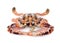 Serra ted mud crab on white background