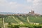 Serralunga di Alba barolo vineyards Langhe Italy