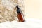 Serum cosmetic bottle on sand background. Abstract stone podium. natural materials product presentation sandy background