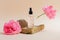 Serum or cosmetic liquid, oil on a stone next to a rose flower. Concept for natural cosmetics, not tested on animals. Natural