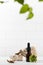 Serum for the skin of the face and body in a dark pipette surrounded by natural materials. Natural cosmetics