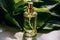 Serum vessel adorning vibrant green leaves, a perfect fusion of skincare and nature