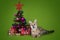 serval cat next to a Christmas tree and gifts on a green background isolated