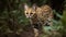 A serval cat on the prowl created with Generative AI
