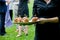 A server holding a tray full of mini pulled pork sandwiches during a catered event