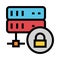 Server lock color line icon