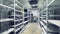 Server room for crypto currency mining. Row of bitcoin miners set up on the wired shelfs. Mining cryptocurrency. Bitcoin