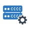 Server setting glyph color vector icon