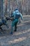 The service dog is attacking the trainer. Dog breed cane corso italiano bite special sleeve. Training dogs defensive guard service