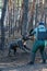 The service dog attacks the trainer, who hits it on the legs with a baton. Cane Corso Italiano dog holds a special sleeve in its