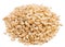 Sesame. Pile of grains, isolated white background.