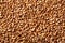 Sesame seeds texture macro detail