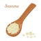 Sesame seeds in a wooden spoon. Vector illustration