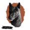 Seskar Seal dog hound animal digital art. Seiskarinhyljekoira pet originating from Finland, watercolor portrait closeup