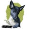 Seskar Seal dog hound animal digital art. Seiskarinhyljekoira pet originating from Finland, watercolor portrait closeup