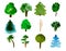 Set of 12 trees isolated on white background, hand-drawn watercolor illustration of pine, fir, willow, palm and other